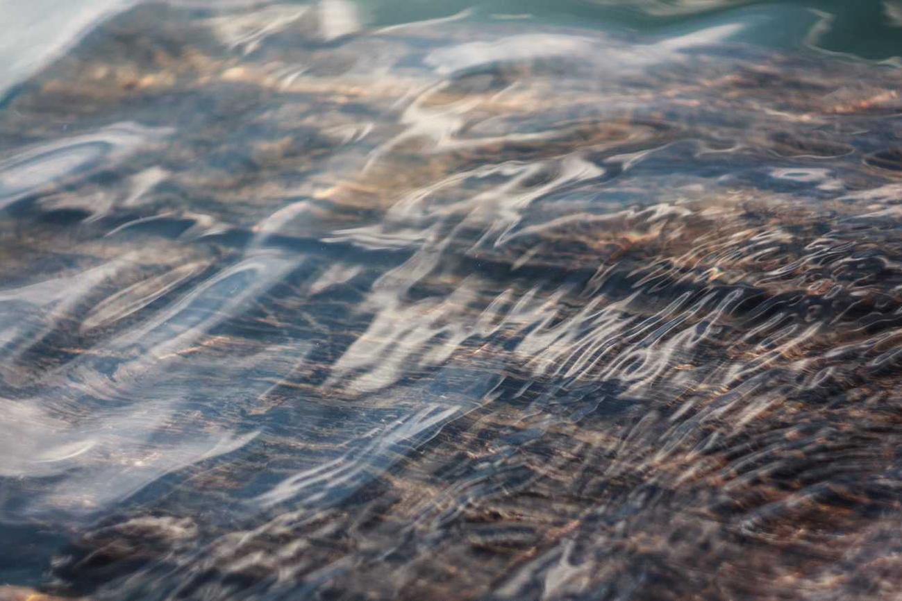 Temporibus non dolor